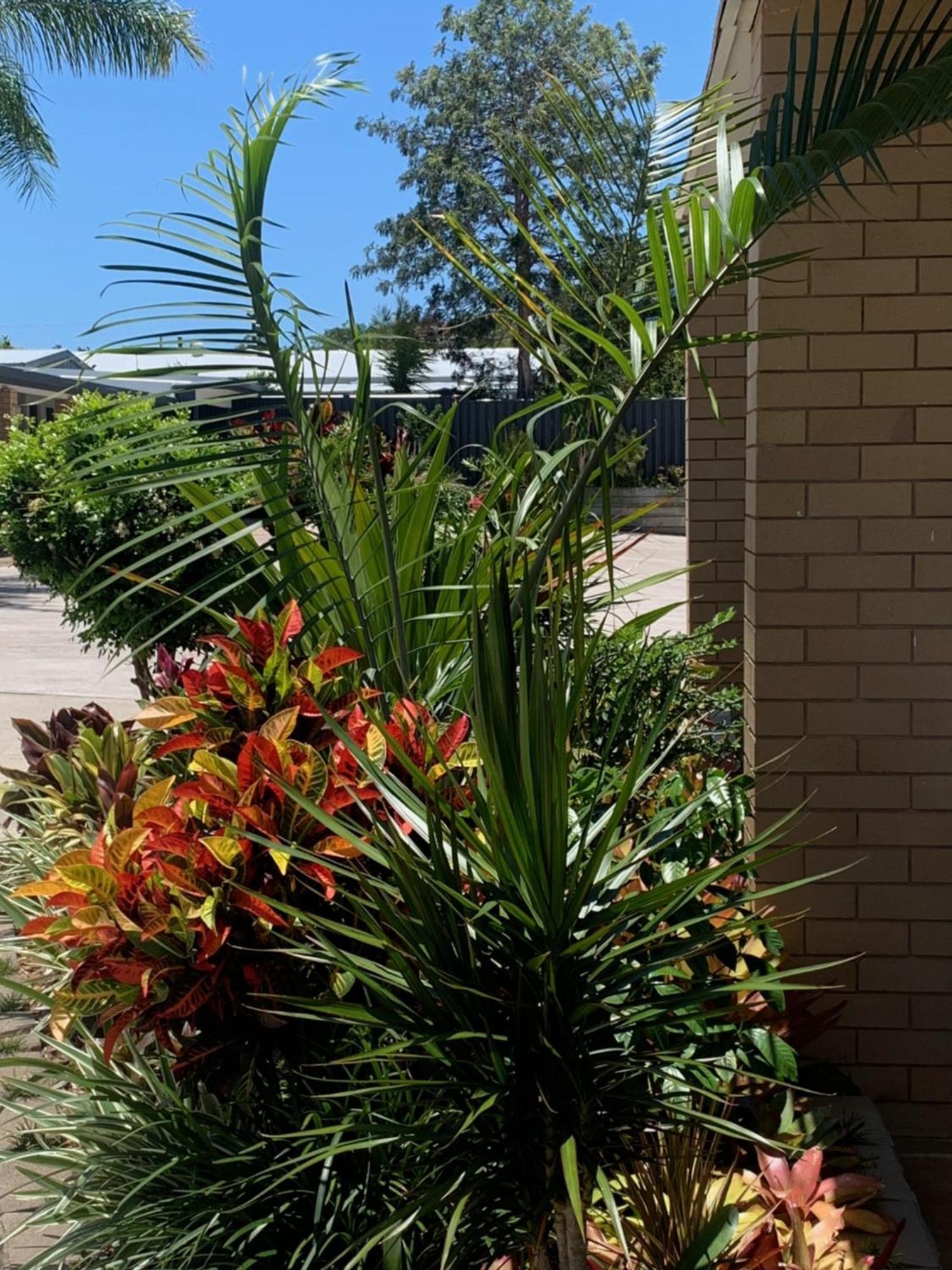 Shady Rest Motel Gympie Εξωτερικό φωτογραφία